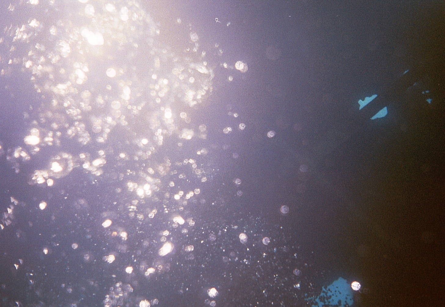 Bubbles Rising
